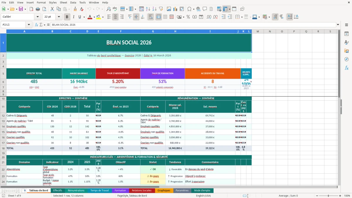 Capture d'écran 1 : Feuille Tableau de Bord - Modèle Excel bilan social entreprise excel