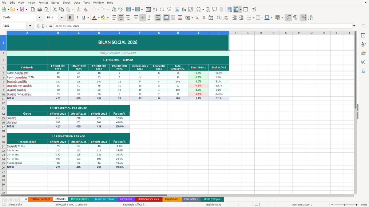 Capture d'écran 2 : Feuille Effectifs - Modèle Excel bilan social entreprise excel