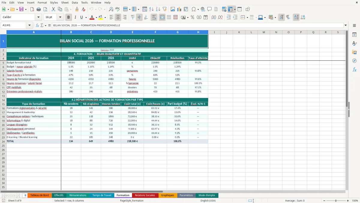 Capture d'écran 5 : Feuille Formation - Modèle Excel bilan social entreprise excel