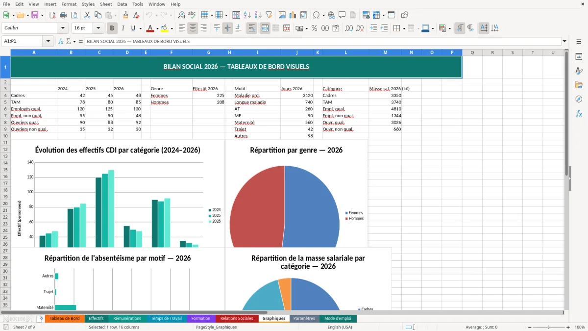 Capture d'écran 7 : Feuille Graphiques - Modèle Excel bilan social entreprise excel
