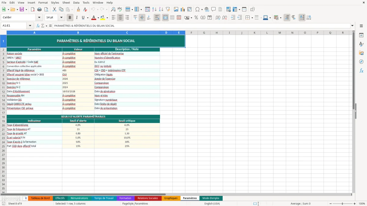 Capture d'écran 8 : Feuille Paramètres - Modèle Excel bilan social entreprise excel