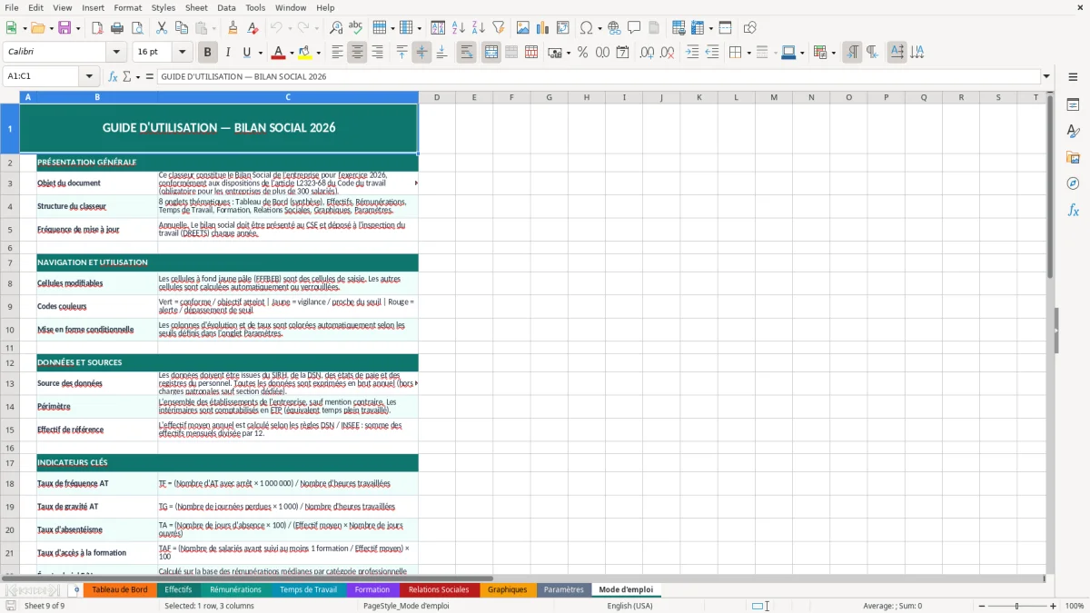 Capture d'écran 9 : Feuille Mode d'emploi - Modèle Excel bilan social entreprise excel