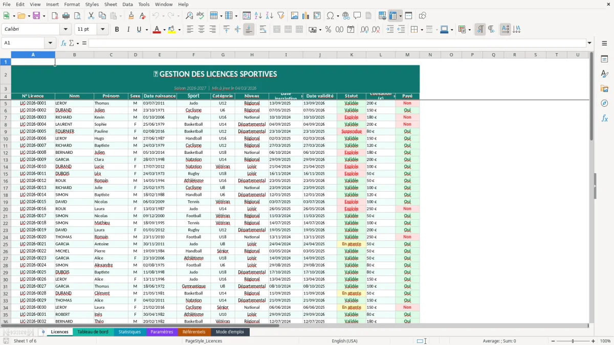 Capture d'écran 6 : Feuille Mode d'emploi - Modèle Excel gestion licences sportives excel