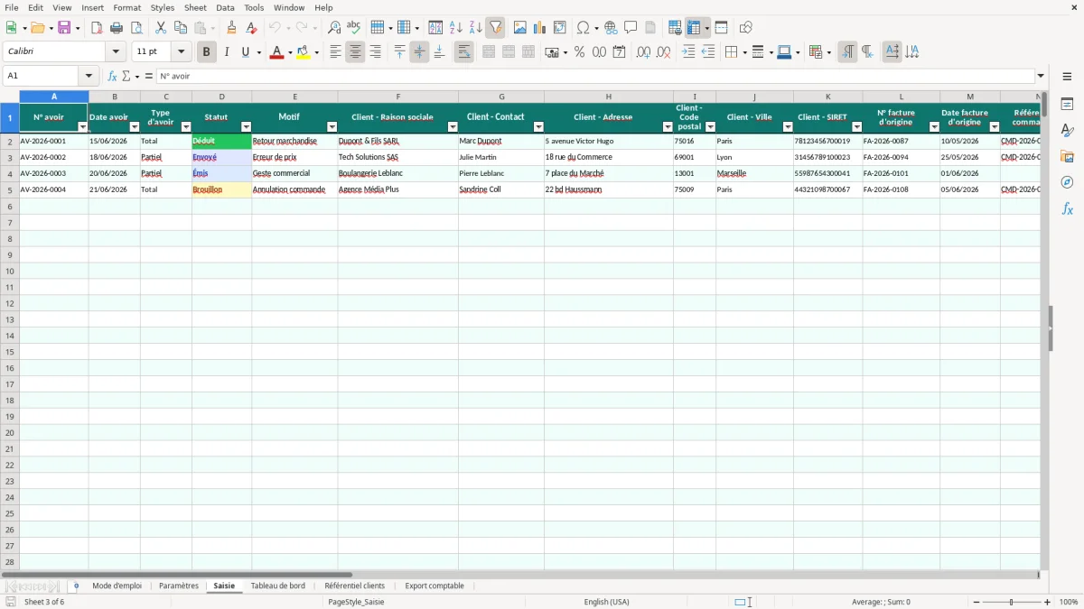 Capture d'écran 3 : Feuille Saisie - Modèle Excel Avoir client Excel - Modèle Gratuit (2026)