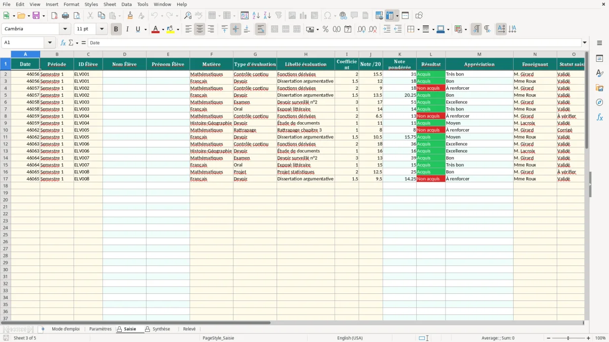 Capture d'écran 3 : Feuille Saisie - Modèle Excel relevé de notes excel